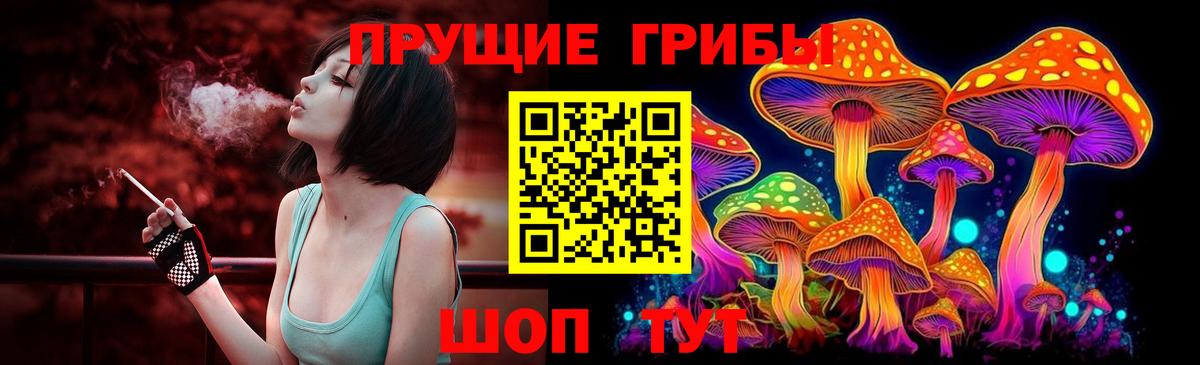 Галлюциногенные грибы MAGIC MUSHROOMS Кизляр