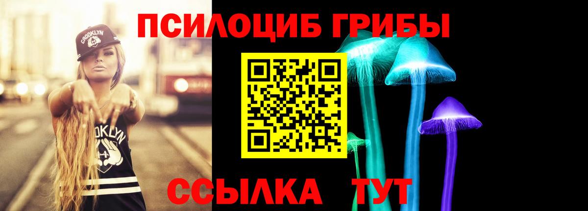 купить наркотик  Вход с VPN  Псилоцибиновые грибы GOLDEN TEACHER  Кизляр  Псилоцибиновые грибы мицелий 
