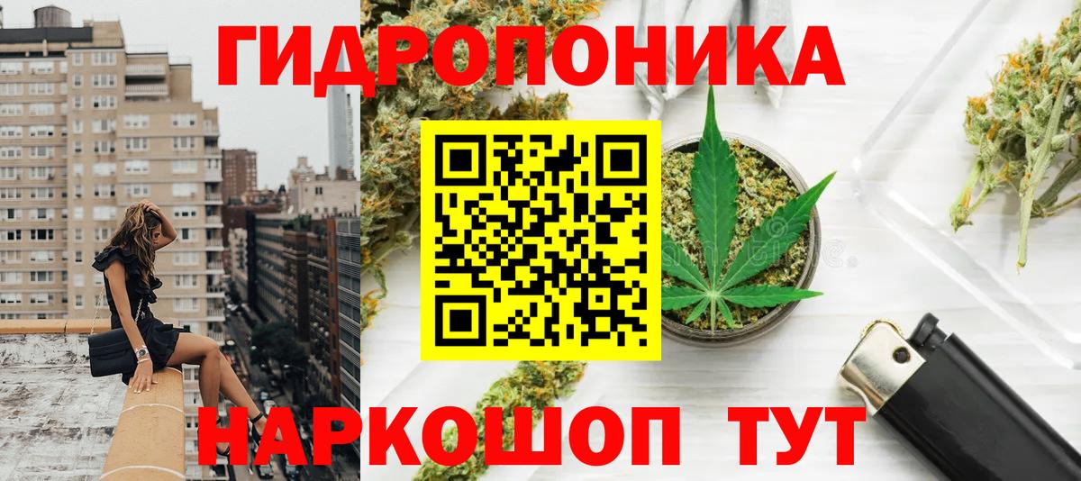 Бошки Шишки семена Кизляр